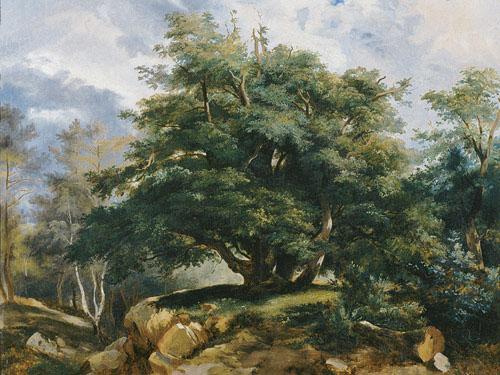 Jules Coignet Old Oak in the Forest of Fontainebleau Sweden oil painting art